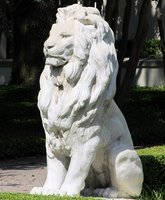 lion.jpg